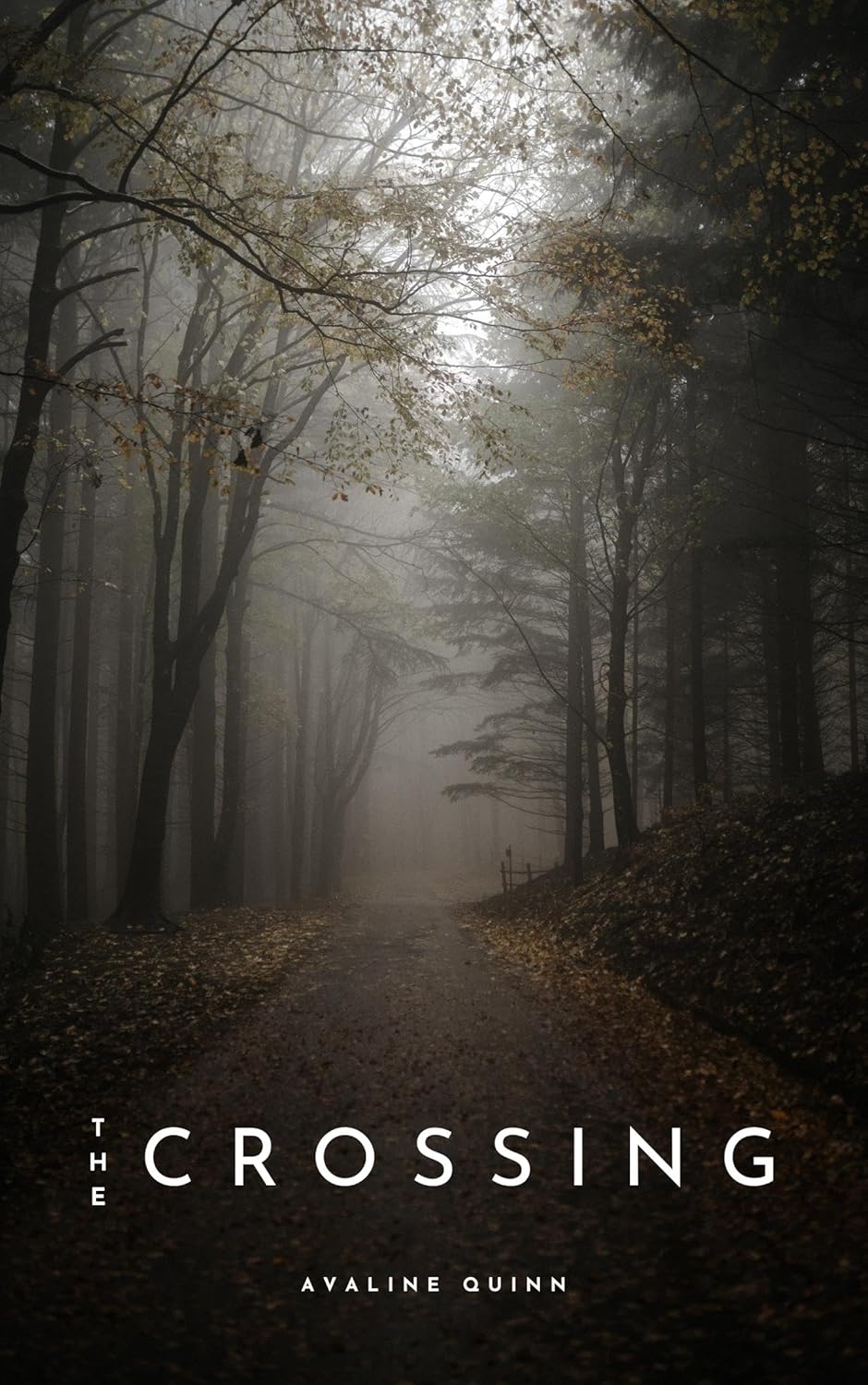 Cover: The Crossing